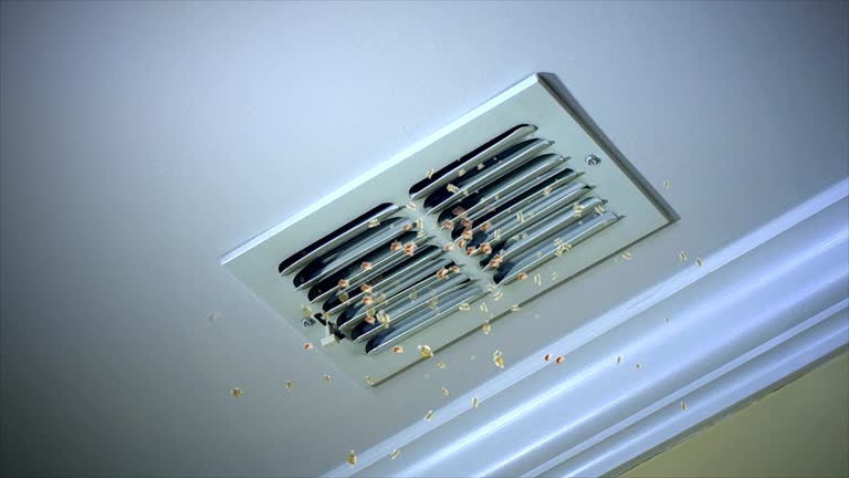 Best Affordable Duct Cleaning Services  in River Bend, NC