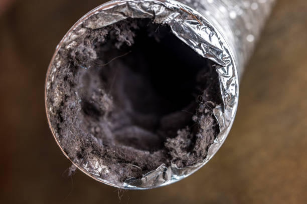 Best Best Air Duct Cleaning Near Me  in River Bend, NC