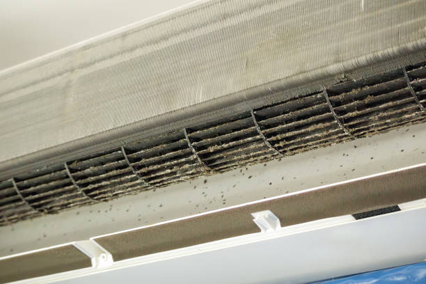 Best HVAC Air Duct Cleaning  in River Bend, NC
